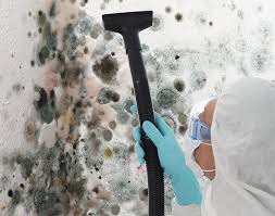 Environmental Consulting for Mold Prevention in Konawa, OK